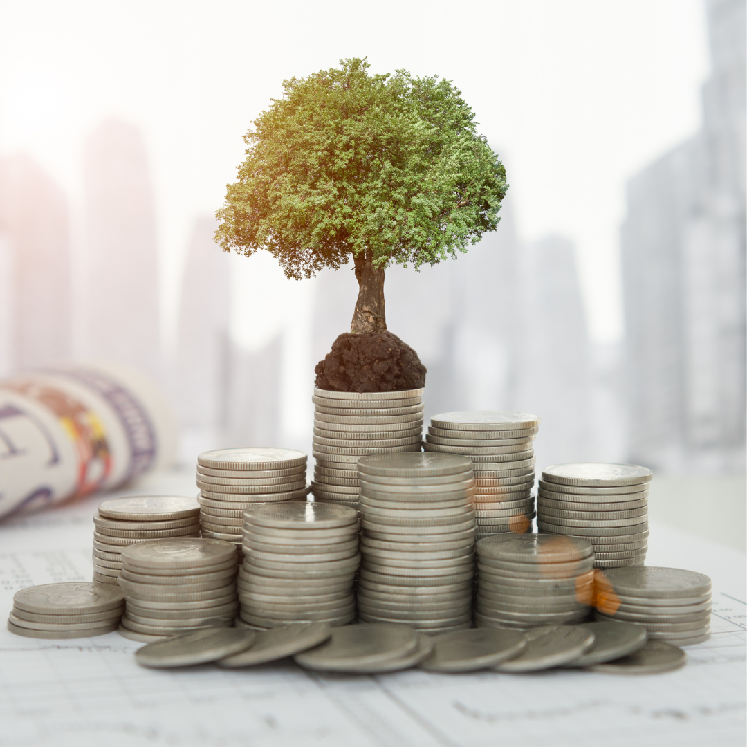 Asesoría de inversión - BLACK